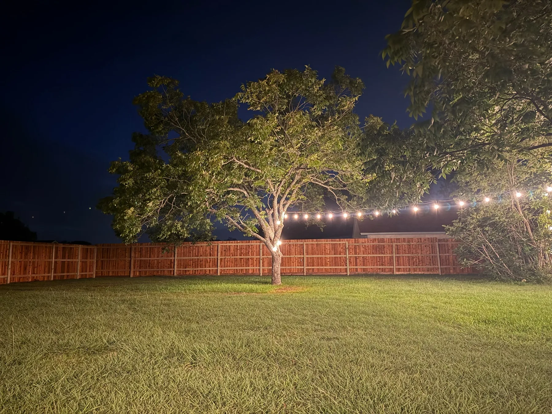 Finished cedar privacy fence illuminated at night on a Central Texas property